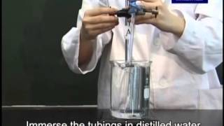 demonstration of osmosis using dialysis tubing [upl. by Nylynnej346]