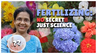 How to Fertilize Flowering Plants  Science of Fertilizing Plants [upl. by Haidabez216]