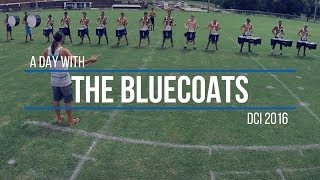 A DAY WITH THE BLUECOATS  DCI 2016 [upl. by Meekyh145]