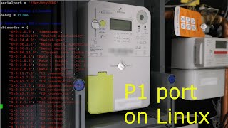 Read data from the a digital meter through the P1 port using Linux [upl. by Kobi]