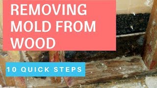 Proven Ways To Remove Mold From Wood How To Remove Mold Inside Walls [upl. by Aiyekal]