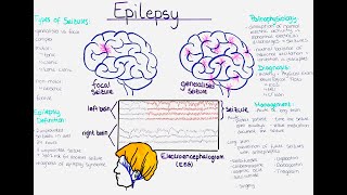 Understanding Epilepsy Pathophysiology Seizure Types Diagnosis Treatment Prevention 1st aid [upl. by Keare]