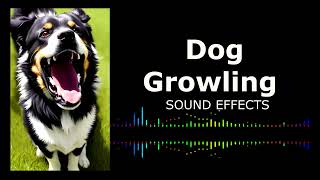 Intense Dog Growling Sound Effect  RoyaltyFree and Free to Use [upl. by Humphrey]