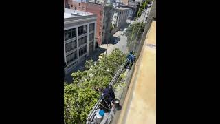 Professional Building Windows Cleaning [upl. by Alliehs]