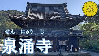 【お寺巡り】泉涌寺皇室との結びつきが強い御寺＆出家 [upl. by Faythe]