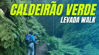 Experience Natures Beauty on a 2024 Levada Walk to Caldeirão Verde in Madeira [upl. by Anes119]