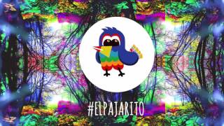 El Pajarito SINGLE OFICIAL  Pernett [upl. by Sherrer]