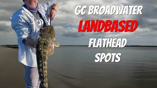 Gold Coast LAND BASED fishing for DUSKY FLATHEAD [upl. by Nipahc593]