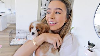 SURPRISING MY GIRLFRIEND WITH A NEW PUPPY [upl. by Chace]