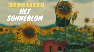 Hey Sonneblom  Droomsindroom Official Music Video [upl. by Ramor]