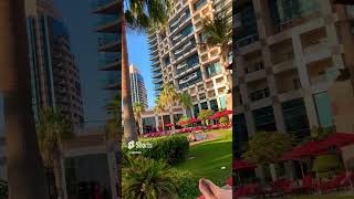 Khalidiya Palace Hotel abudhabi hotel palace holiday beatiful [upl. by Seely695]