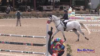 025S Lauren Billys Shady on Clearsky CCI2 Long Show Jumping Galway Downs Nov 2024 [upl. by Gilmour123]