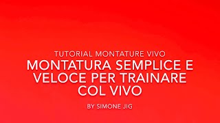 P1 Montatura traina col vivo semplice e veloce [upl. by Nosduj770]