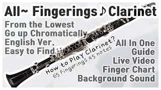 ClarinetAll 65 Fingerings 45 notes All In One Guide ChromaticallyENG [upl. by Alli]