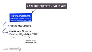 LES MARCHÉS DE CAPITAUX [upl. by Aloise]