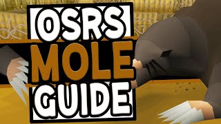 The Ultimate Giant Mole Guide in OSRS 2020 [upl. by Skantze]