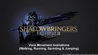 FFXIV Viera All Moving Animation [upl. by Favrot]