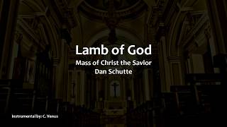 Lamb of God Mass of Christ the Savior Instrumental [upl. by Touber]