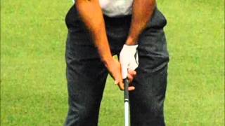 TIGER WOODS GRIP [upl. by Darnell]