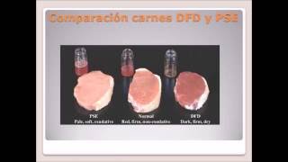 Rigor Mortis en la carne y carnes DFD Y PSE [upl. by Doran]