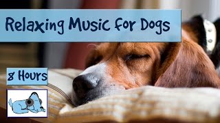 OVER 8 HOURS of Relaxing Music for Dogs and Puppies Calm Down Stressed or Anxious Dogs and Puppies [upl. by Pierre]