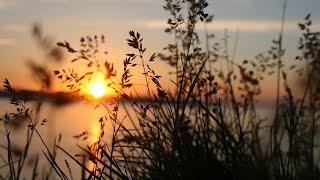 Sunset 4K Stock Video  Free stock footage  No Copyright  All Video Free [upl. by Kort]