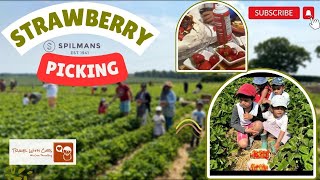 Spilmans Farm Strawberry Picking and Waffles Making with the Cubs [upl. by Whorton476]