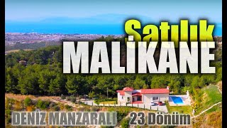 Kuşadasında Satılık Çiftlik  Satılık Malikane [upl. by Kean]