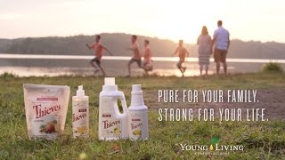 The Murray Family A Young Living Thieves® Story [upl. by Housen]