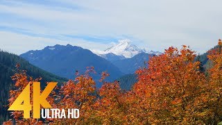 Autumn Colors in Washington State  4K Nature Relax Autumn Video  4 HRS [upl. by Westleigh]