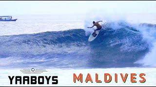 MALDIVES SURF TRIP COKES CHICKENS [upl. by Nlycaj633]