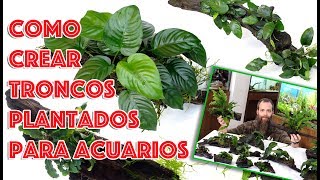 Como crear troncos 🌳🌿🍀 plantados para acuarios [upl. by Aranaj]