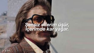 cem karaca  adsız  sözleri [upl. by Adianez]