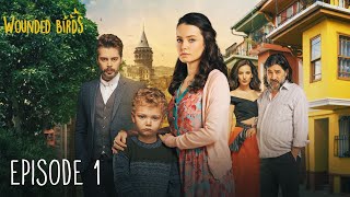 Wounded Birds  Episode 1  Multi Lang Subtitles Turkish Drama  Yaralı Kuşlar 2019 [upl. by Frayda95]