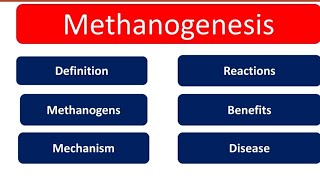 Methanogenesis  Definition  Methanogens  Mechanism  Reaction  Benifit  Disease  Hindi English [upl. by Lemmie]