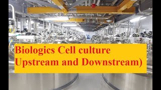 cell culture processes biological pharmaceuticaltechnology [upl. by Ahsienak]