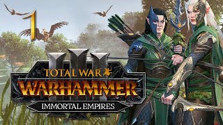 THE WILD HUNT BEGINS Total War Warhammer 3 Immortal Empires Campaign 1  Sisters of Twilight [upl. by Nimsay]