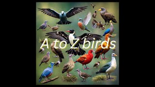 A to Z Birds Name with Pictures [upl. by Kirby533]