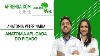 Anatomia Veterinária  Anatomia Aplicada do Fígado [upl. by Aerua]