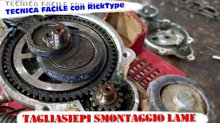 Smontaggio lame tagliasiepe Kawasaki parte1 [upl. by Delaney]