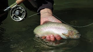 Flyfishing Loisach 2018 [upl. by Lrad]