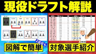 「現役ドラフト」図解でわかりやすく解説！12球団対象選手も紹介 [upl. by Yrennalf152]