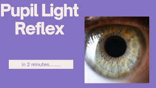 Pupil light reflex in 2 minutes [upl. by Romelle]