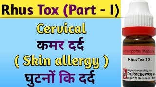 Rhus tox homeopathic medicine I Rhus tox 30 I Rhus tox 200 homeopathic medicine uses [upl. by Assyla824]