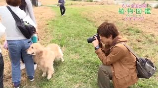 『植物図鑑 運命の恋、ひろいました』メイキング動画②＜カメラの撮影指導と犬？＞ [upl. by Yesnil]