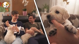 DE PUPPYS GROEIEN ZO HARD [upl. by Suckram]