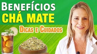 Benefícios do Chá Mate  Para Que Serve Como Tomar Receitas e Dicas [upl. by Eladnek]