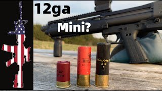 12 Gauge Mini Shells Review  ULTIMATE SelfHome Defense [upl. by Riccio]