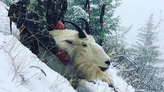 DIY Idaho Mountain Goat Hunt  Stuck N the Rut 116 [upl. by Towrey311]