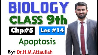 Apoptosis  Cell cycle  Chapter 5  9th class Biology  Lec14 [upl. by Eloken]